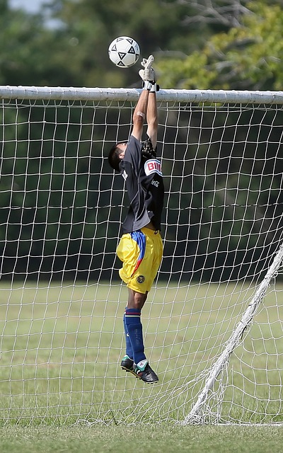 這表明他對 這表明他對