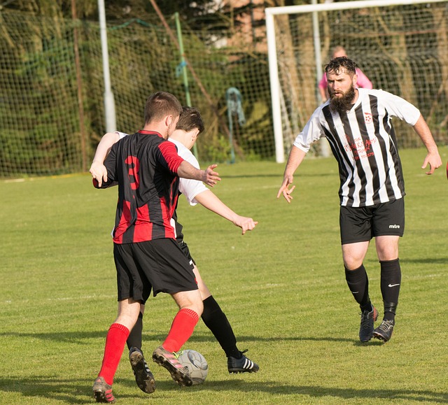 水平的赛场 水平的赛场